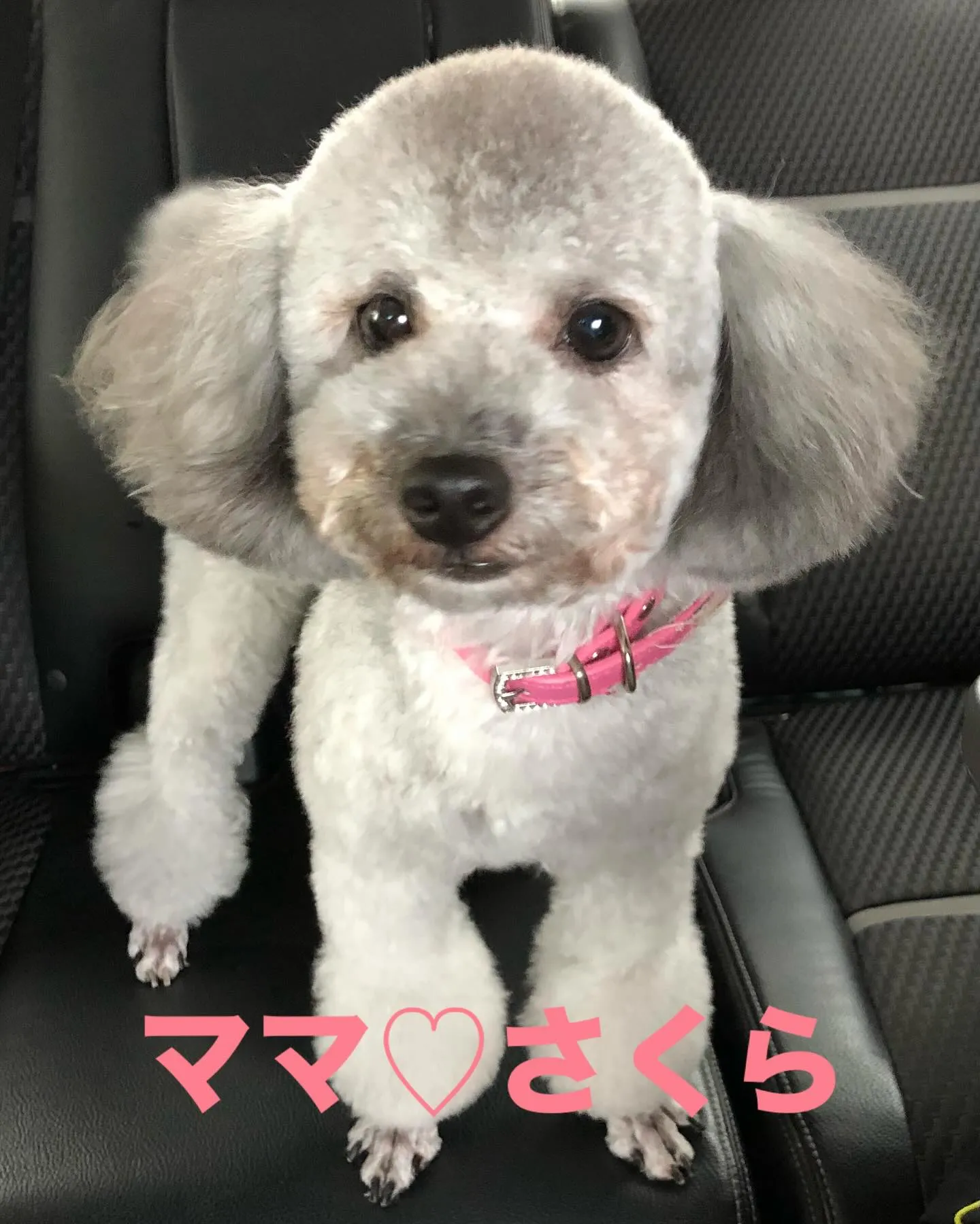 幸せのお裾分け♡