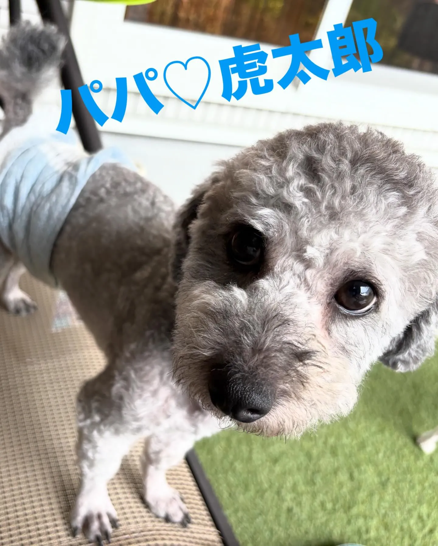 幸せのお裾分け♡