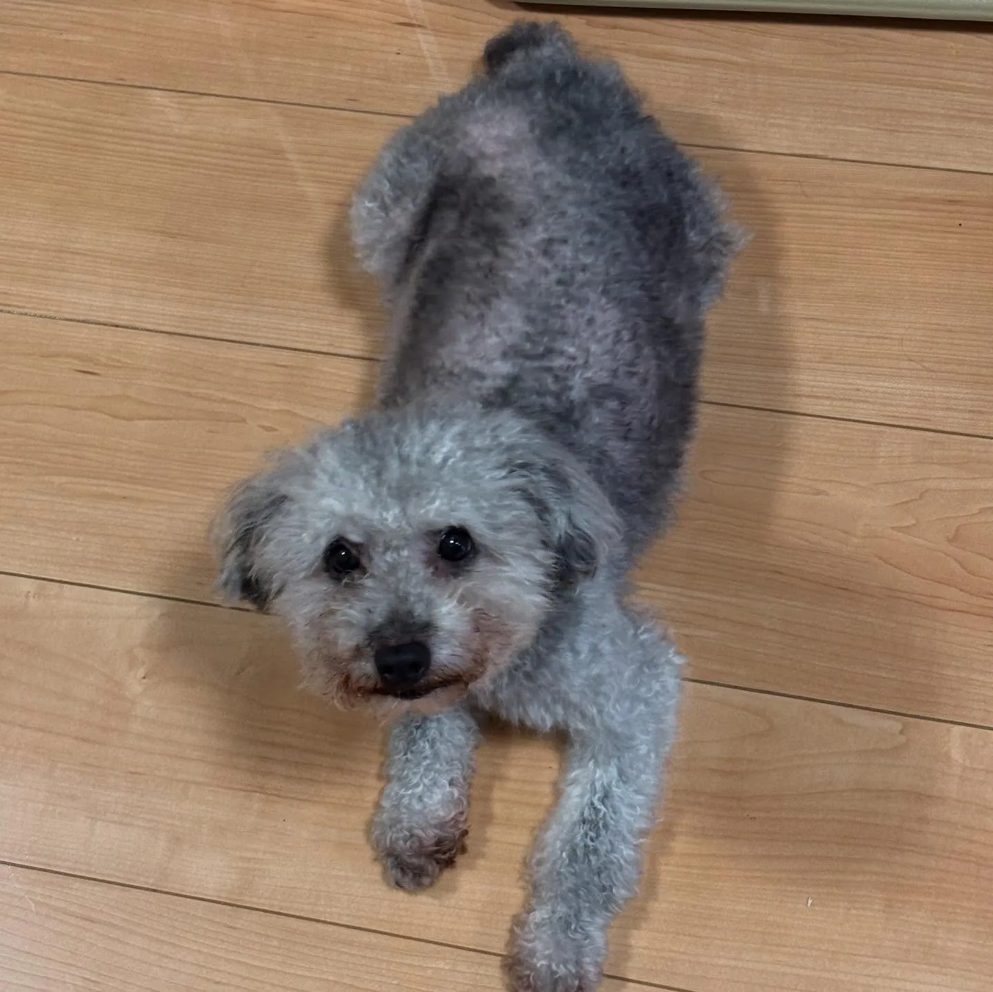 朝からマッタリ〜