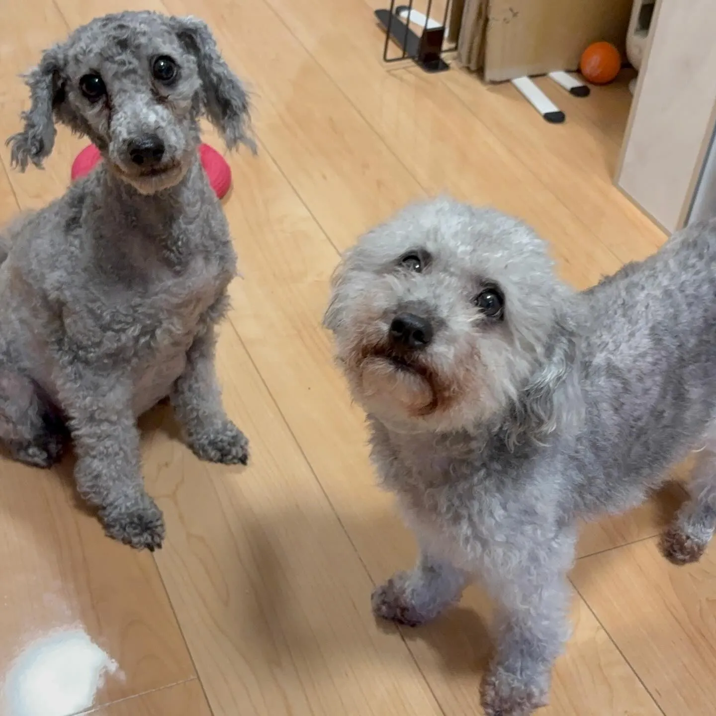 朝からマッタリ〜