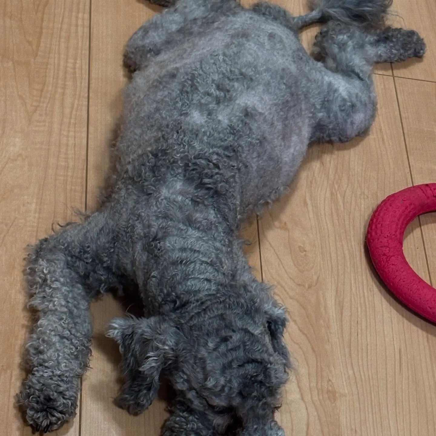 朝からマッタリ〜