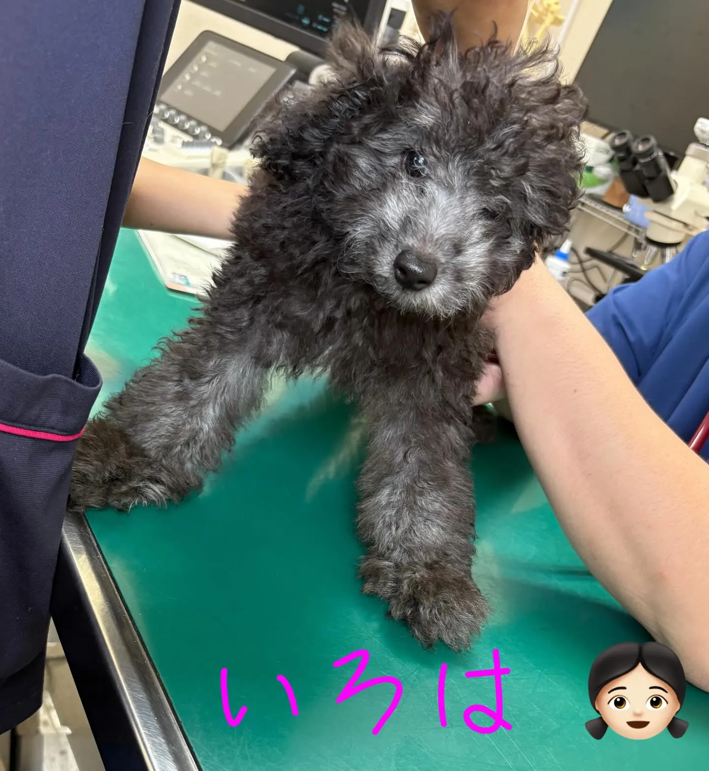 混合ワクチン💉接種してきたよ🎶