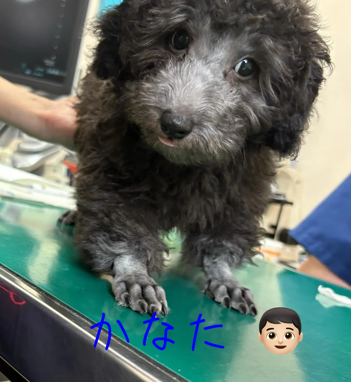 混合ワクチン💉接種してきたよ🎶