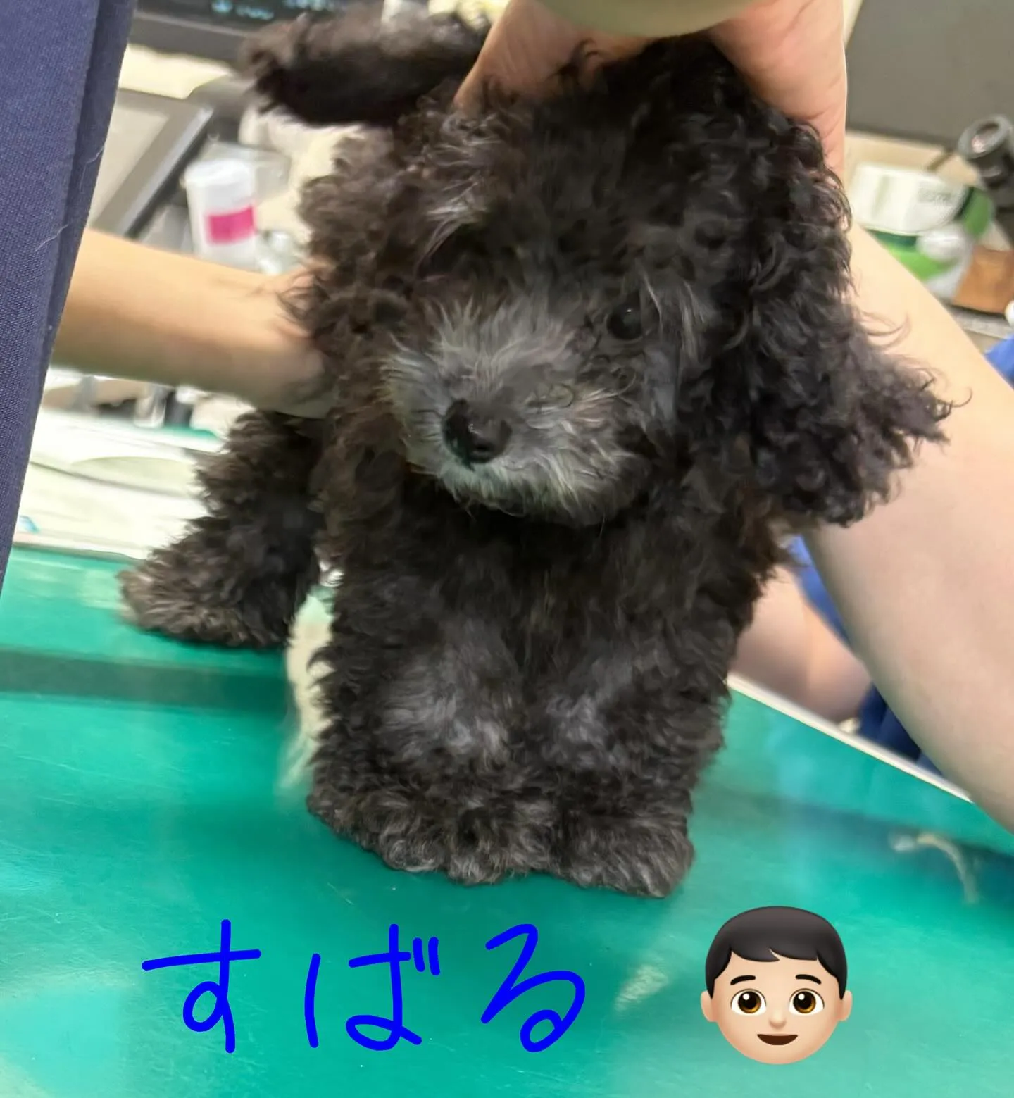 混合ワクチン💉接種してきたよ🎶