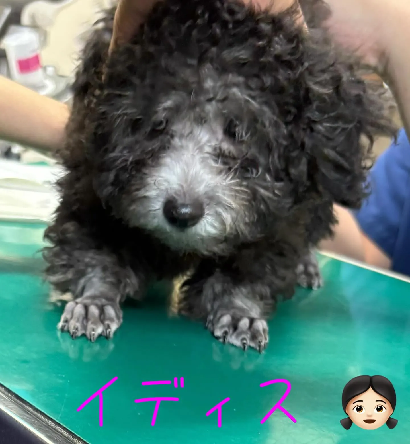 混合ワクチン💉接種してきたよ🎶