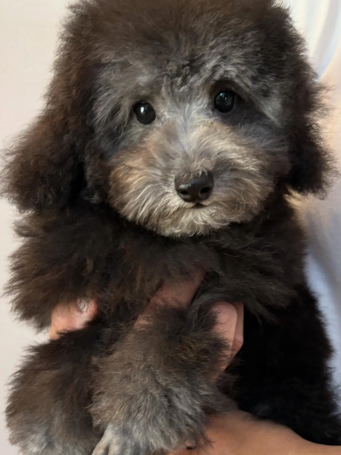 すばる💫ご家族が決まりました♡