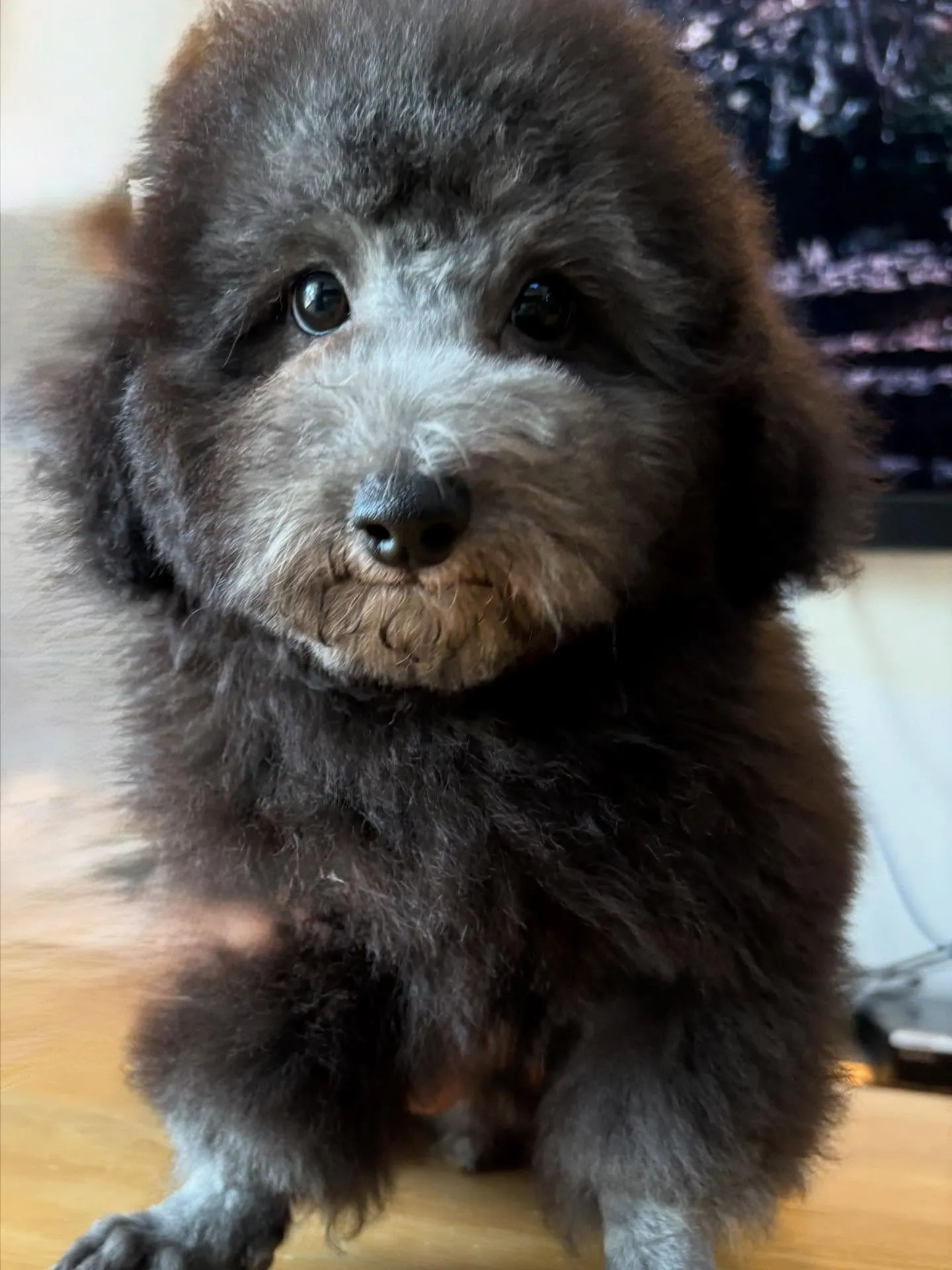 すばる💫ご家族が決まりました♡