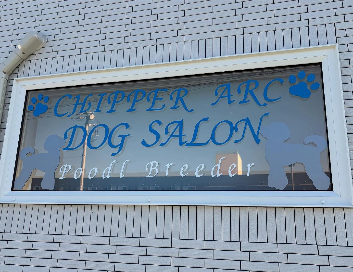 トリミングサロン✂️始めました🐶