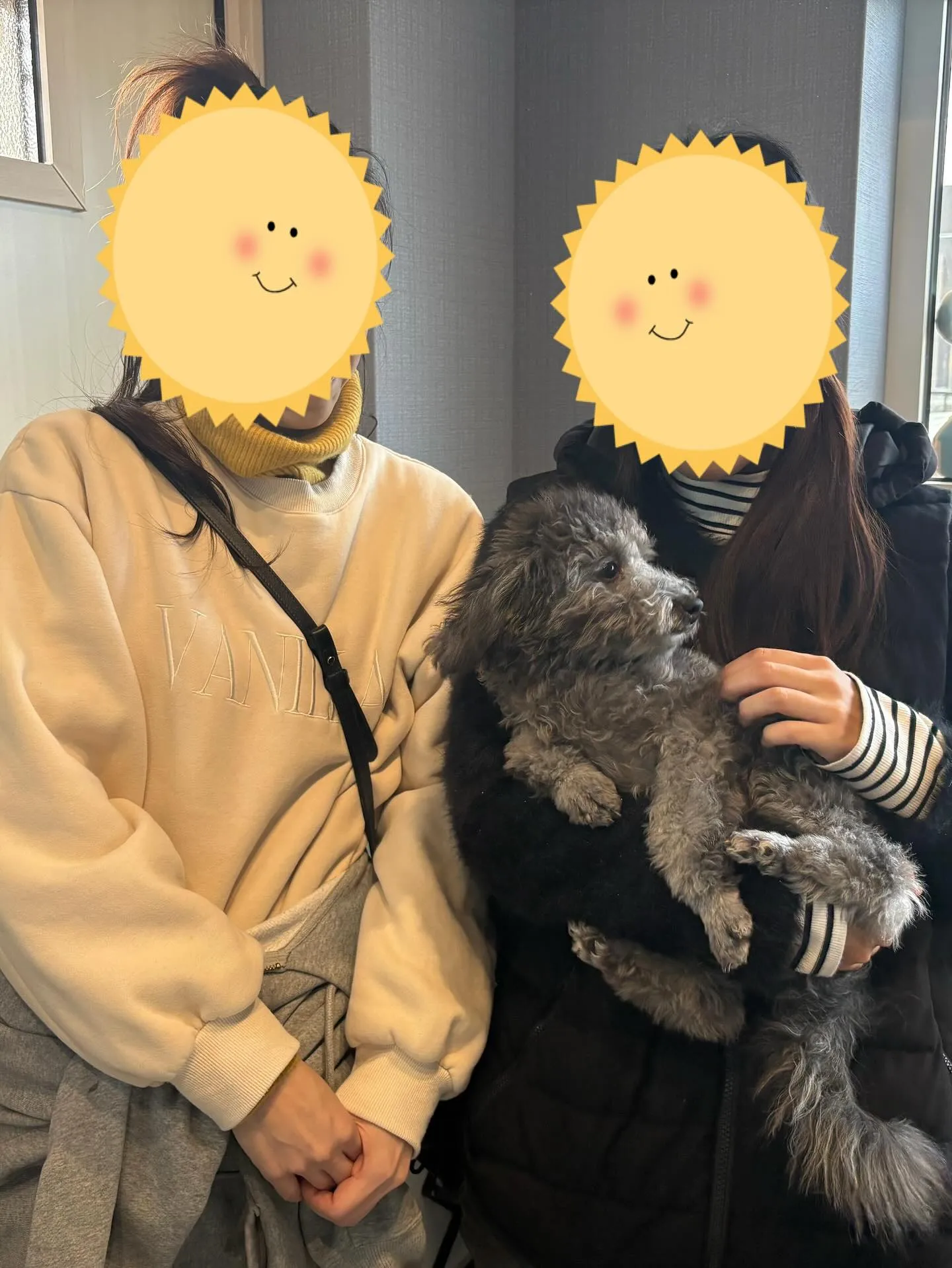 いろは☘️ご家族が決まりました♡