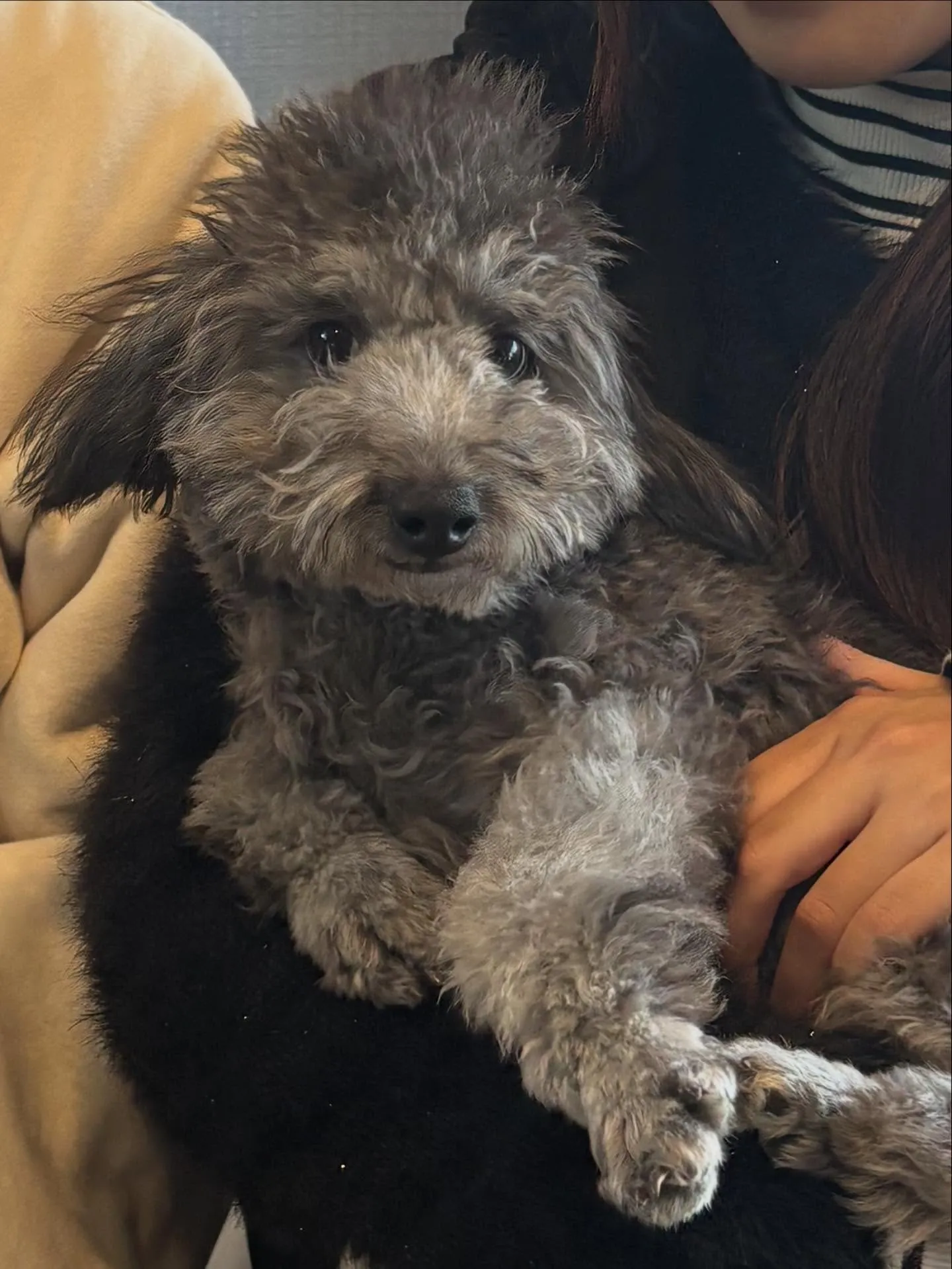 いろは☘️ご家族が決まりました♡