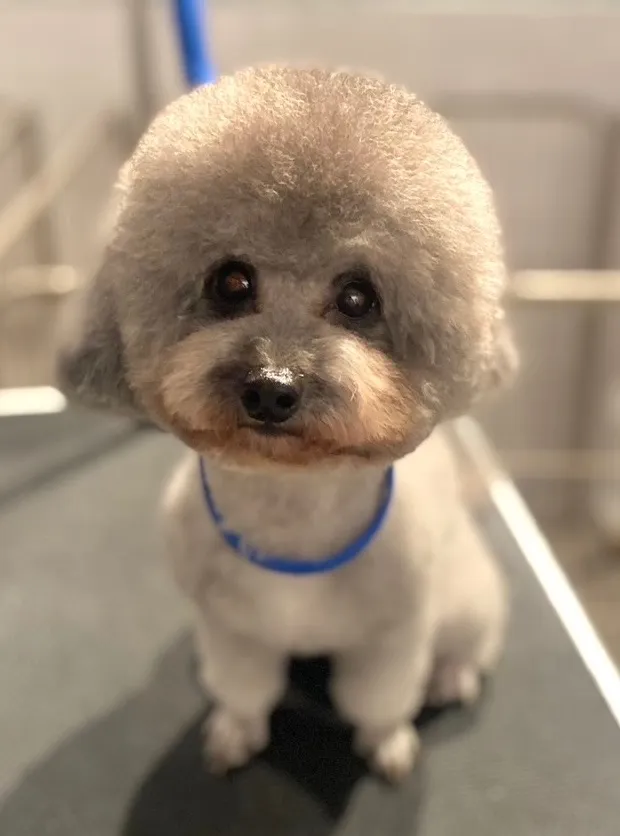 虎太郎 ♂2024年1月産まれ