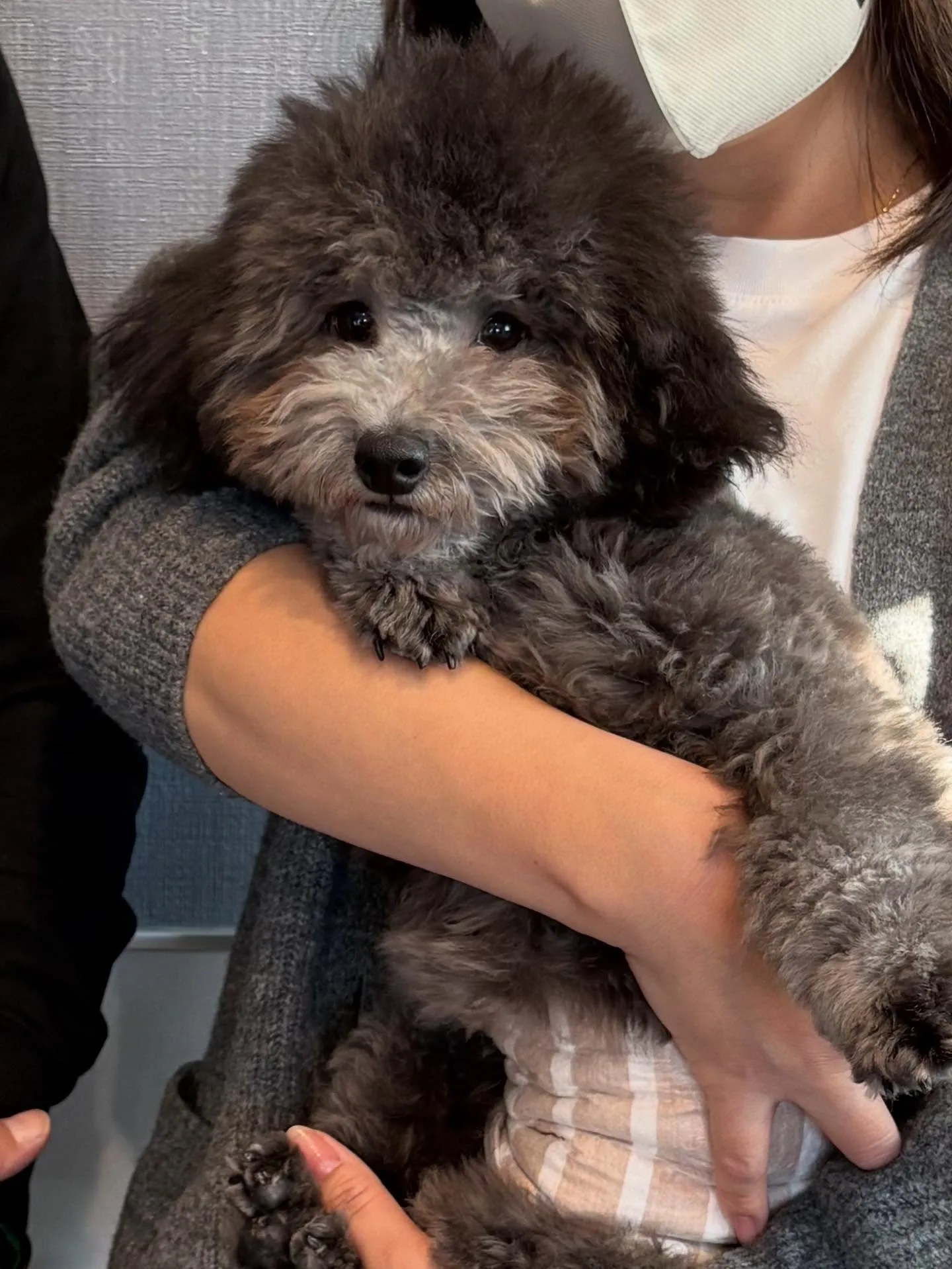 かなた👑お引渡しでした♡