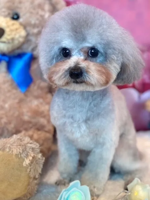 凪 ♂2024年8月産まれ