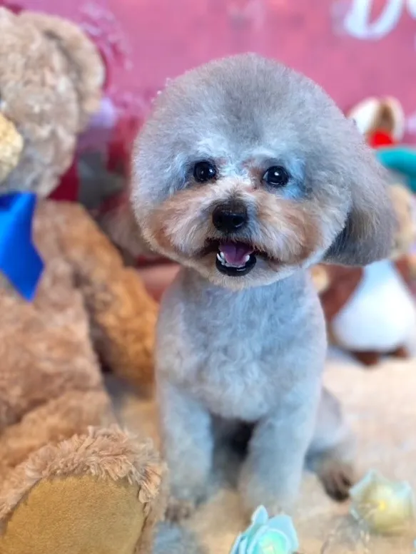 凪 ♂2024年8月産まれ