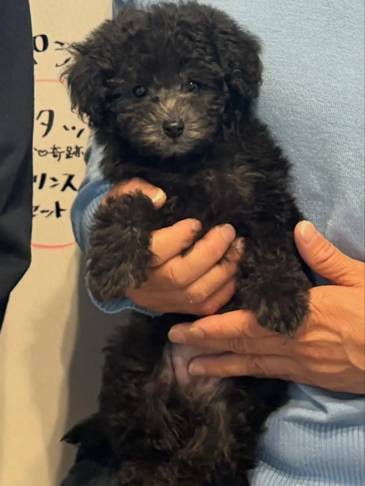 ラス🍋本日お引渡しでした♡