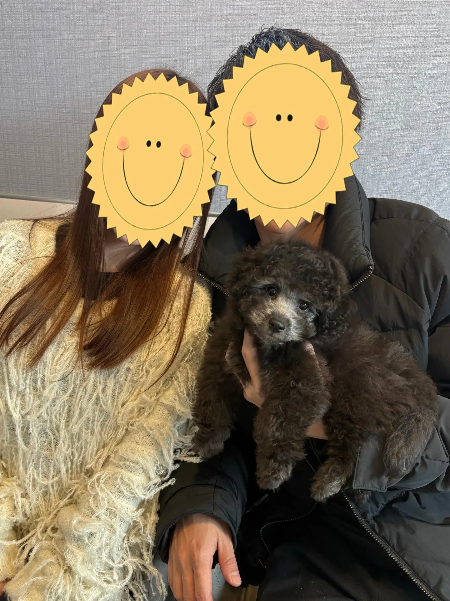 さくらベビー🌸たかし本日お引渡しでした🐾