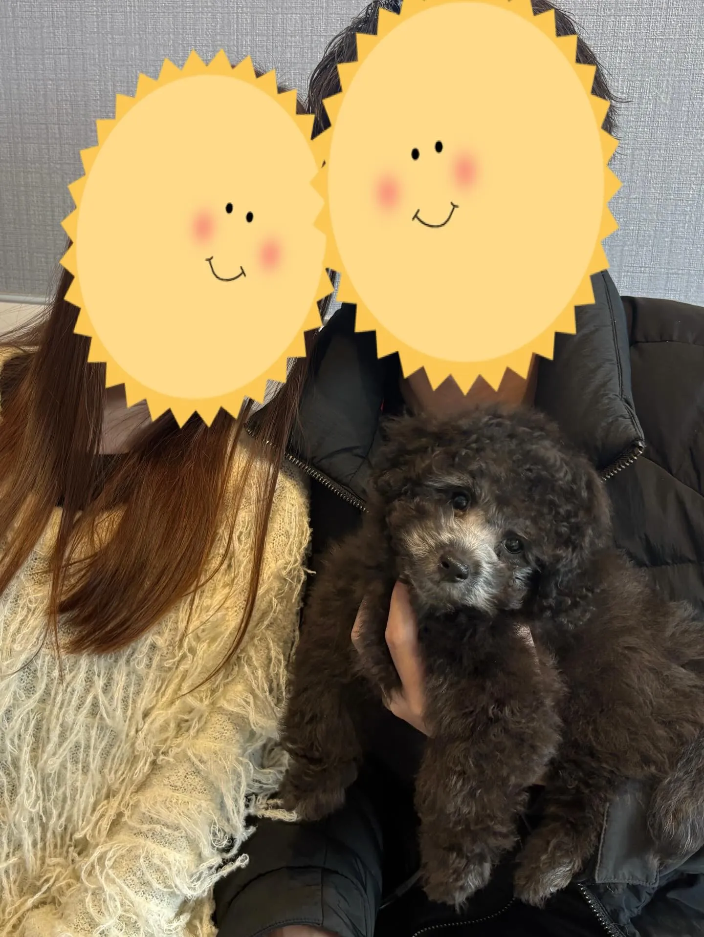 さくらベビー🌸たかし本日お引渡しでした🐾