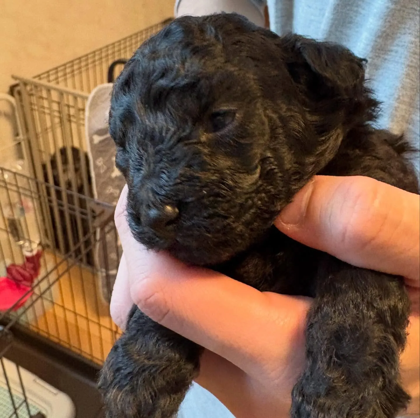 シータベビー🐉生後20日目