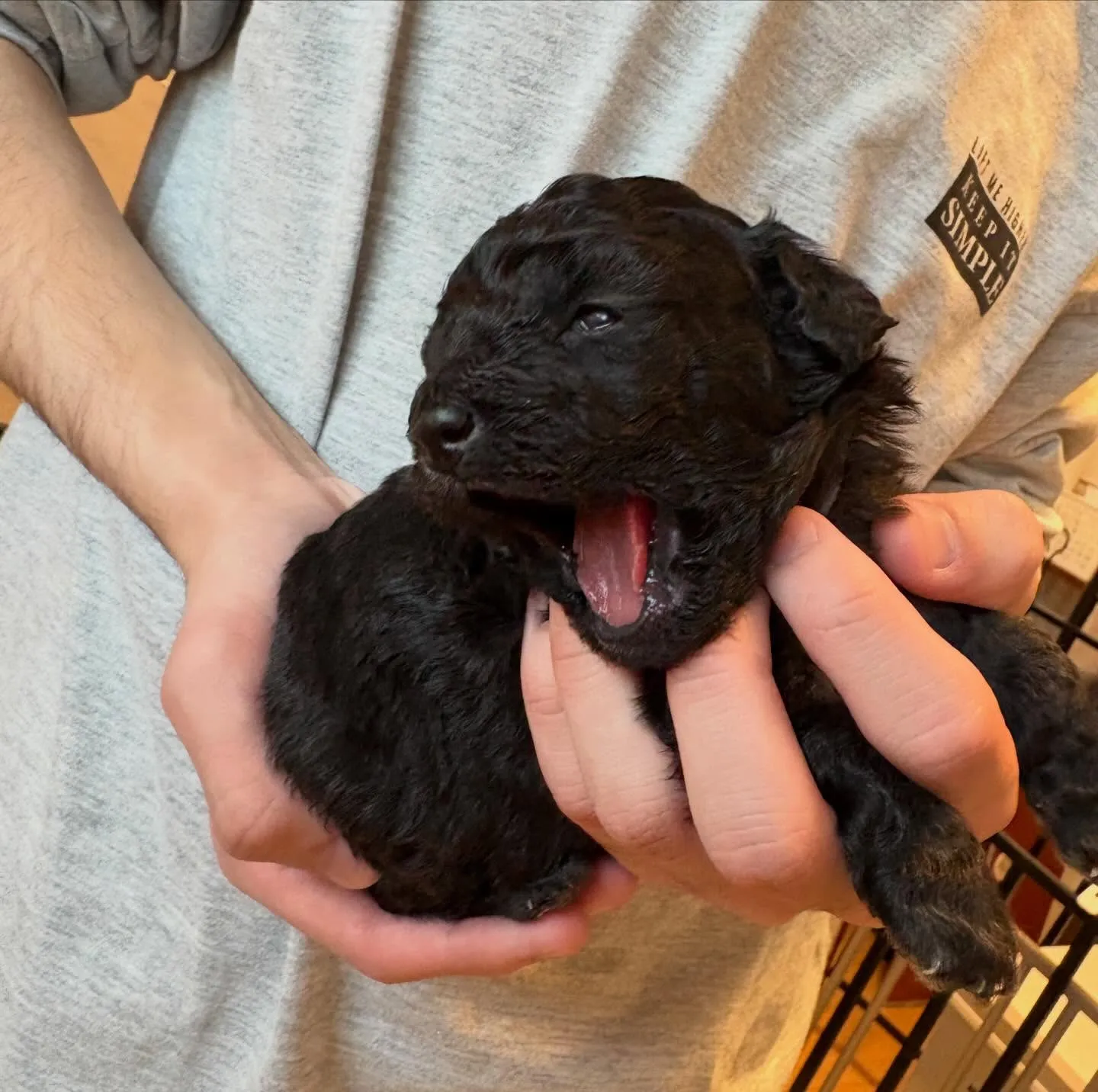 シータベビー🐉生後20日目