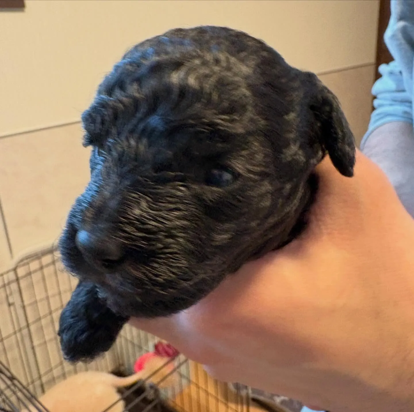 シータベビー🐉生後20日目