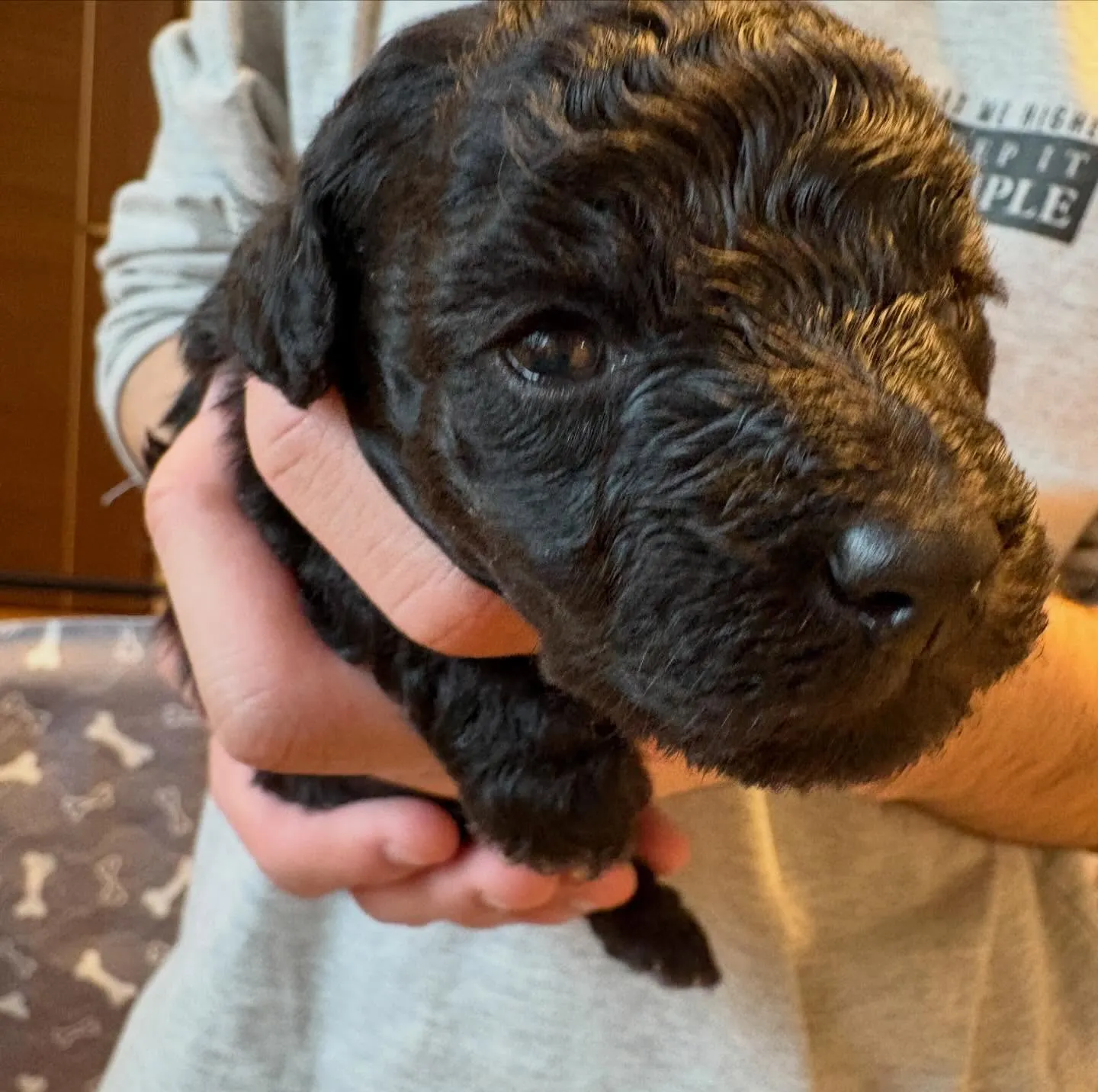 シータベビー🐉生後20日目