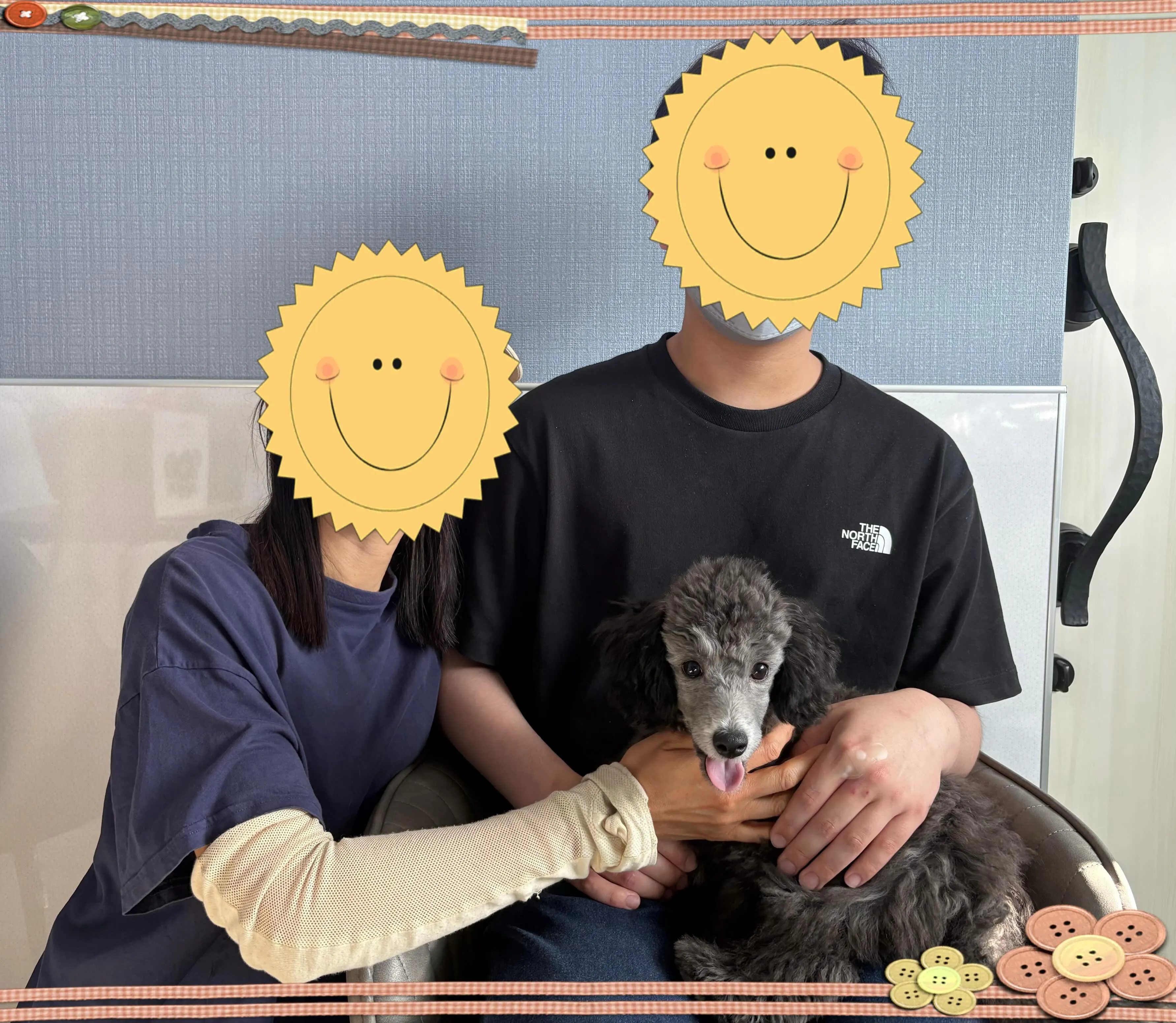レモンベビー🍋ぺドリ本日お迎え頂きました🐾