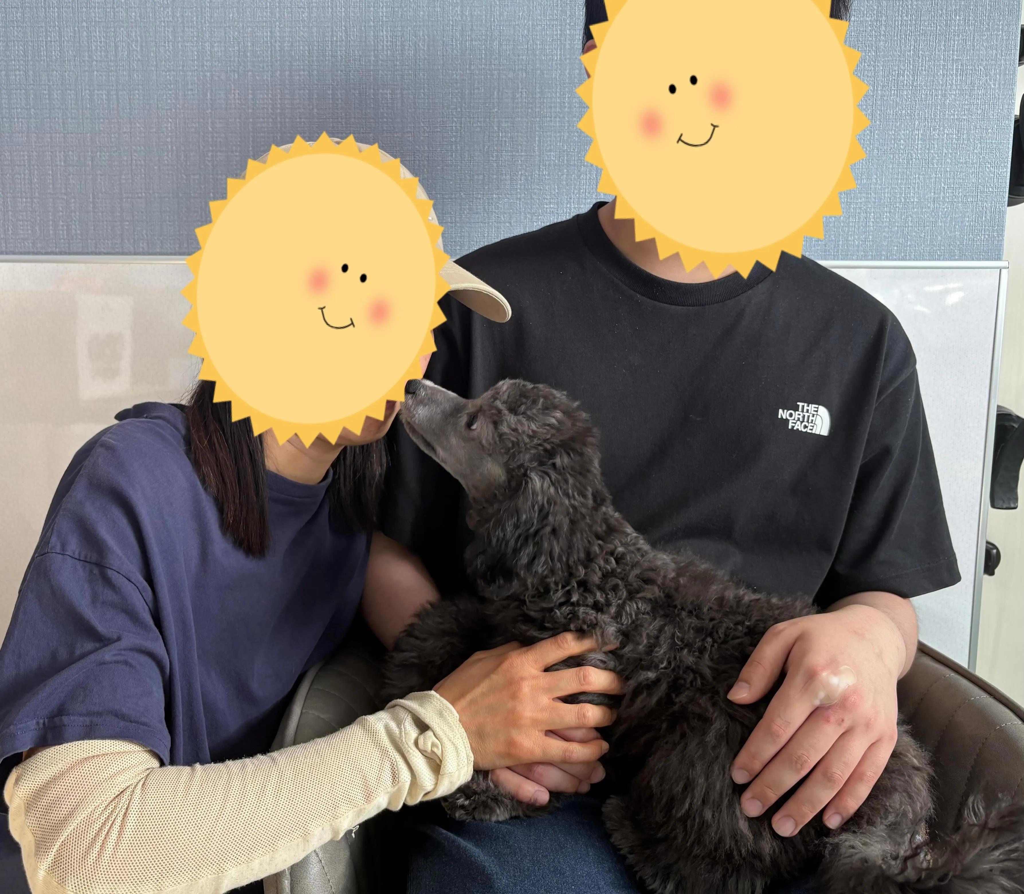 レモンベビー🍋ぺドリ本日お迎え頂きました🐾