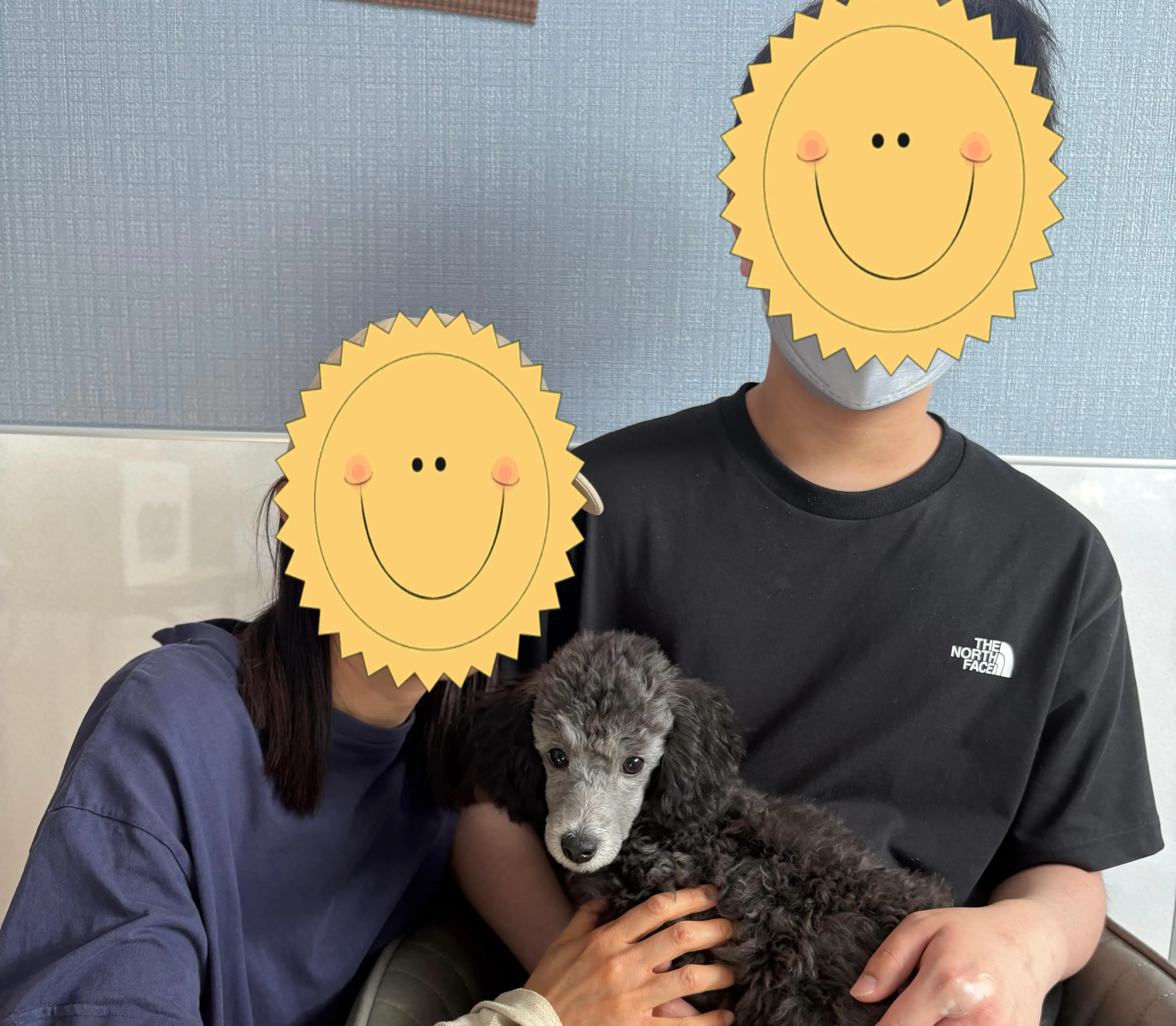レモンベビー🍋ぺドリ本日お迎え頂きました🐾
