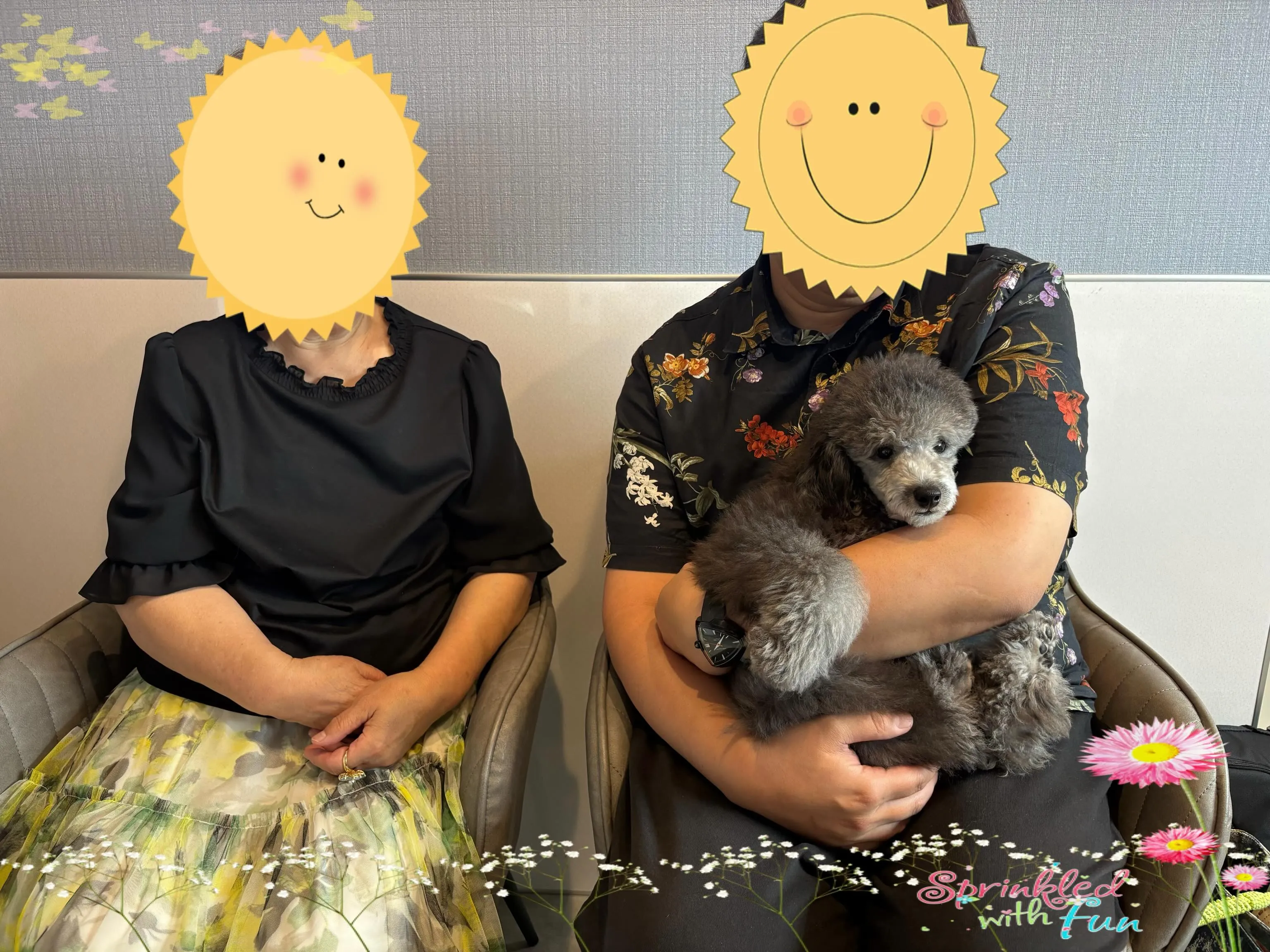レモンベビー🍋ロドリお迎え頂きました🐾