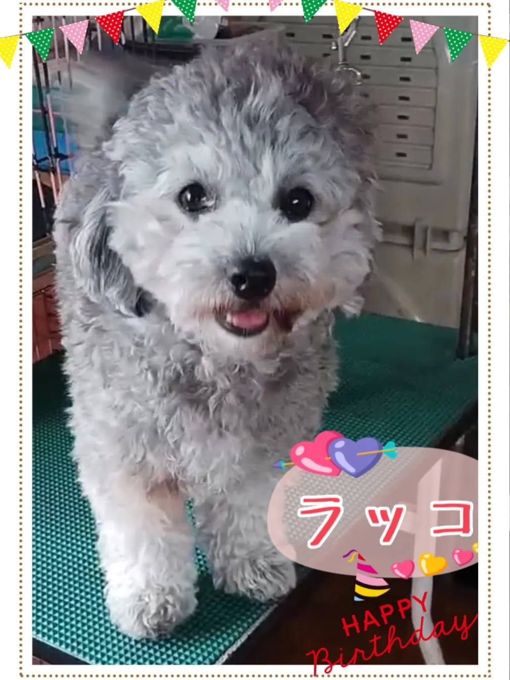 さくらベビー🌸6月24日産まれの三姉妹