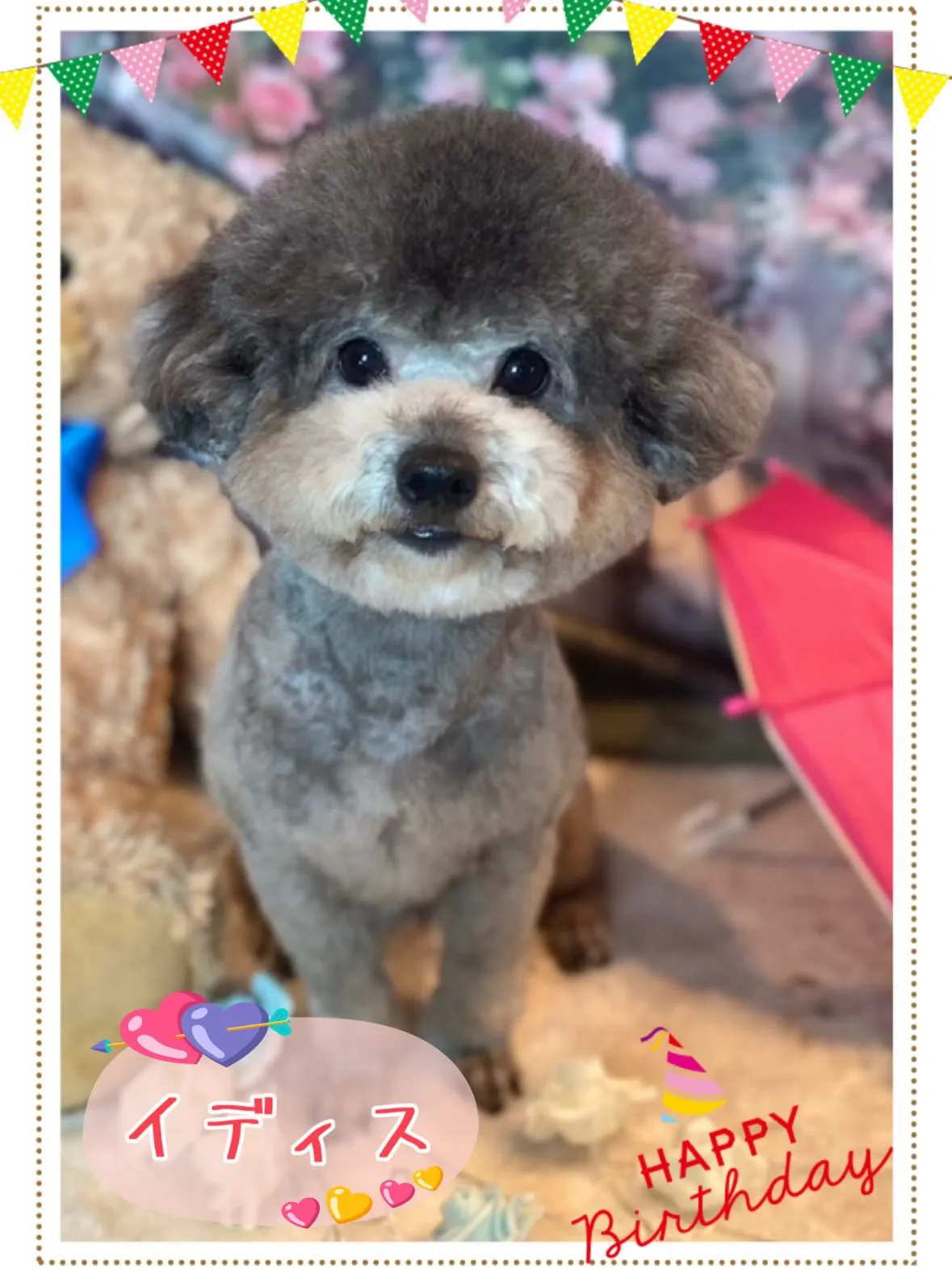 さくらベビー🌸6月24日産まれの三姉妹
