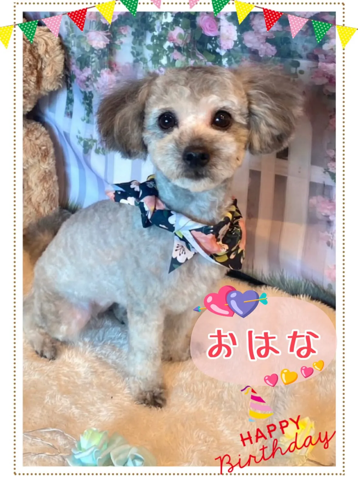 さくらベビー🌸6月24日産まれの三姉妹