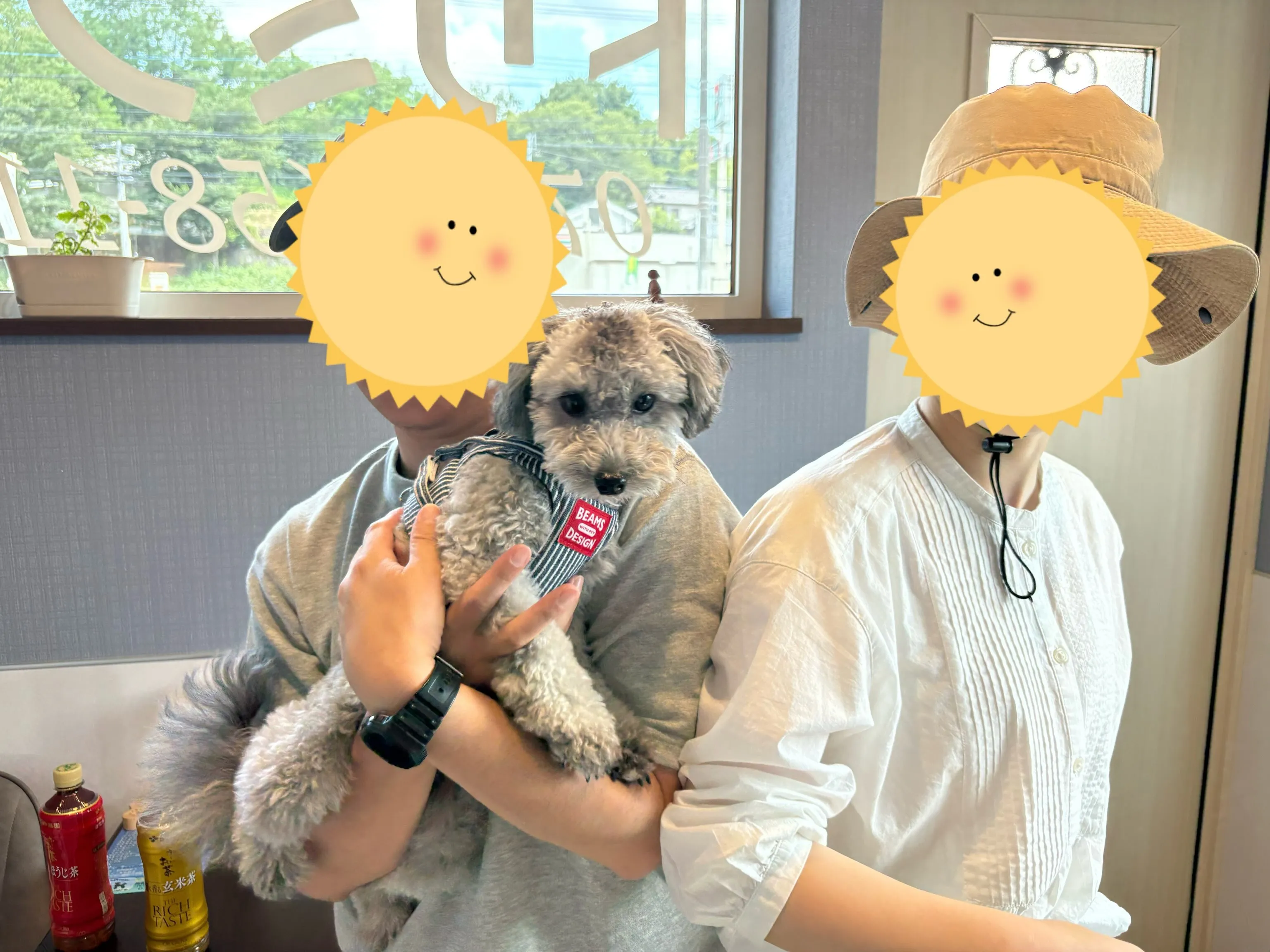 先日、ポンちゃんが遊びに来てくれました🥰