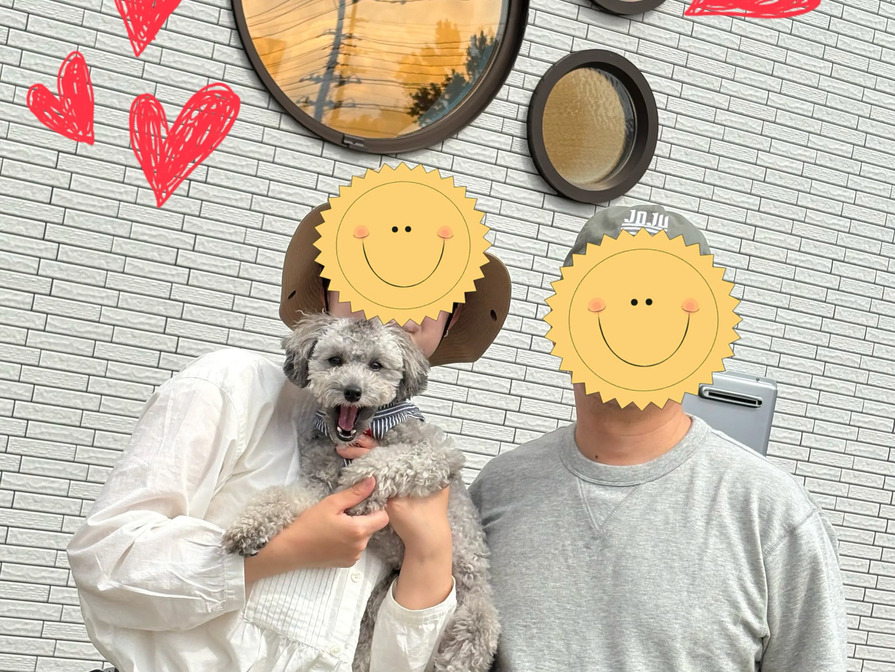 先日、ポンちゃんが遊びに来てくれました🥰