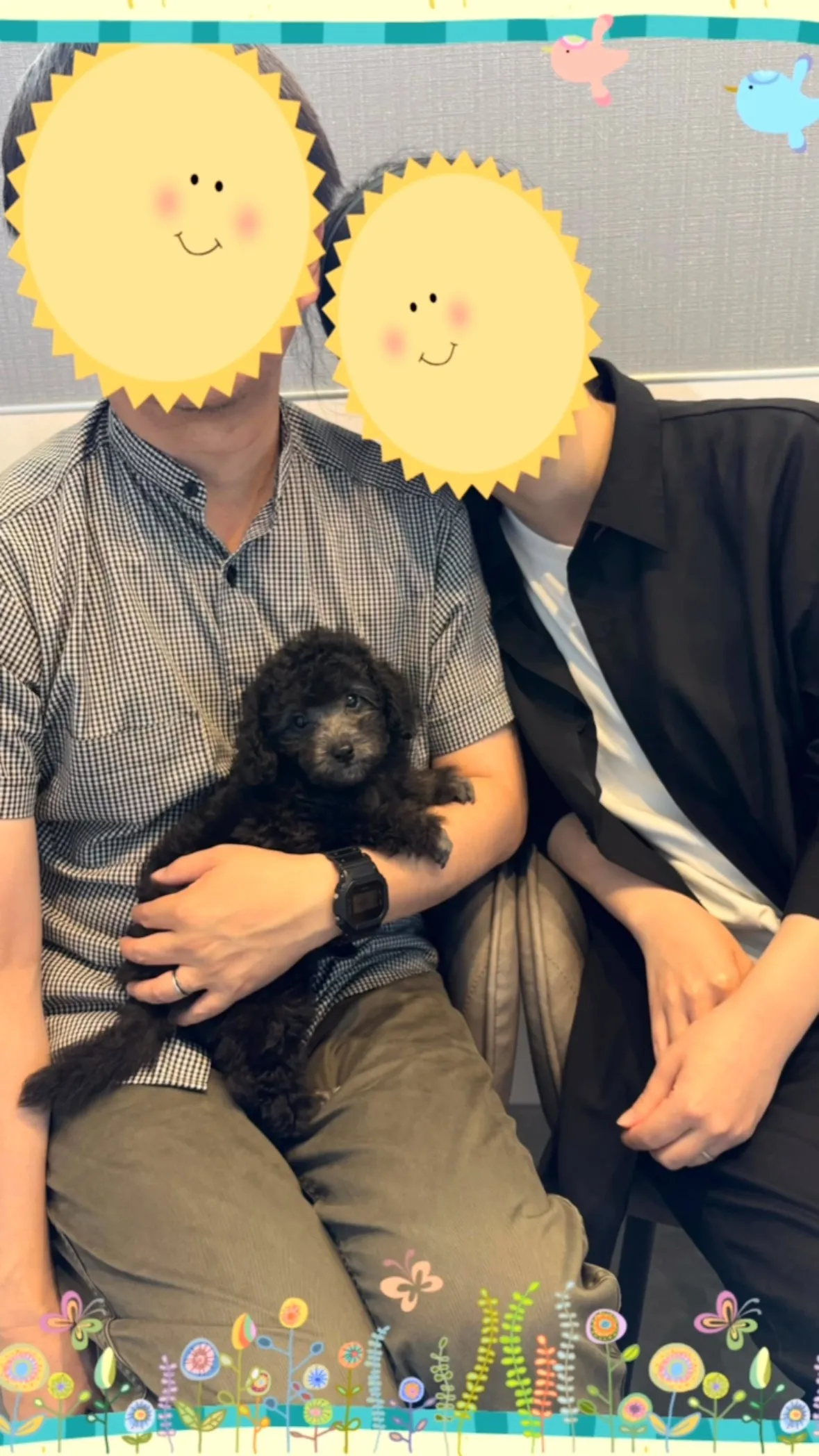 レモンベビーちはや🐾昨日、嫁ぎました💐✨️