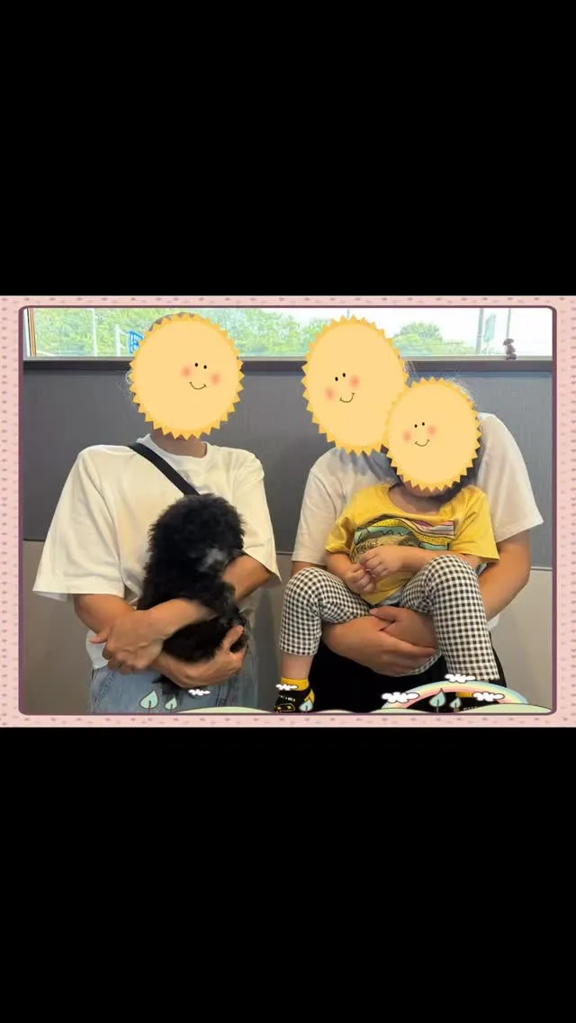 さくらベビー🌸アグネス 嫁ぎました🐾