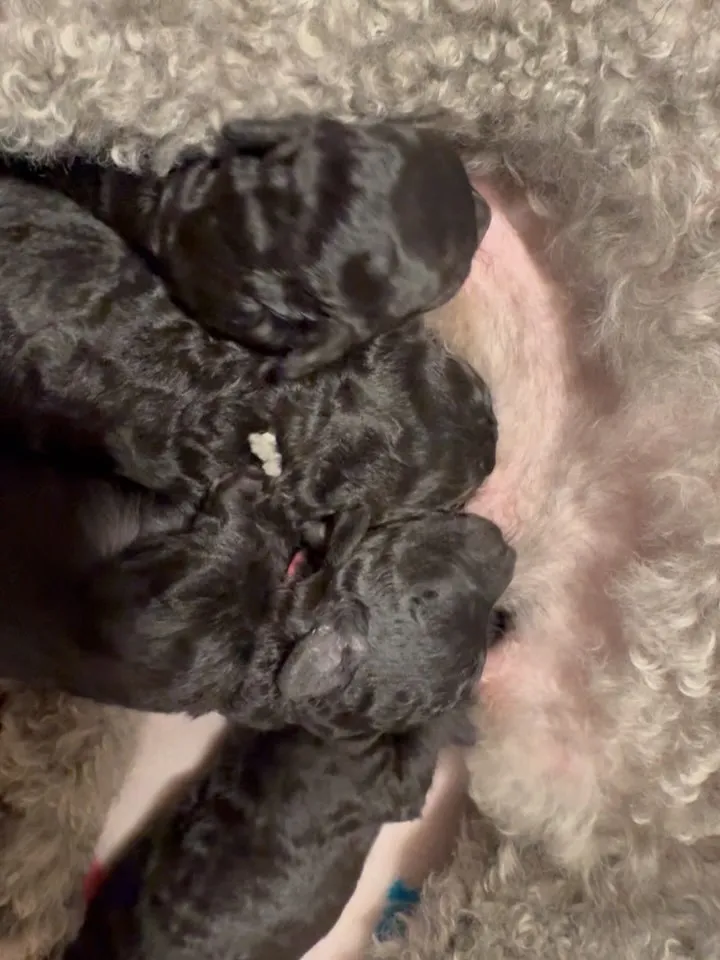 さくらベビー🌸生後13日✨️